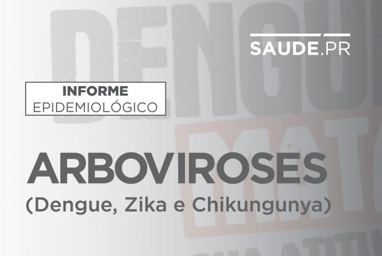 Informe da dengue registra 782 casos da doença no Paraná