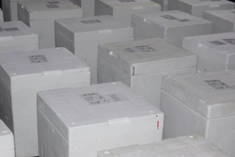 Paraná deve receber 944 mil vacinas contra a Covid-19 nos próximos dias