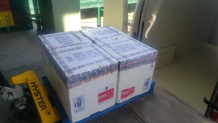 Estado recebe vacinas contra a Covid-19 para dose de reforço