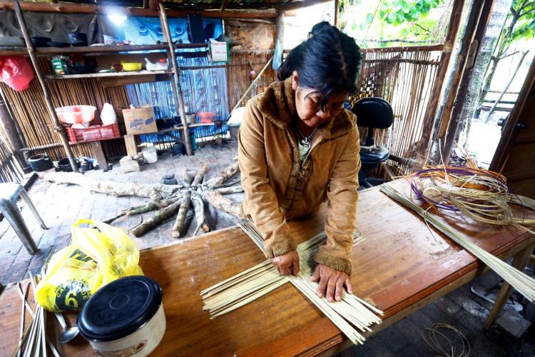 Ações fortalecem saúde indígena no Paraná