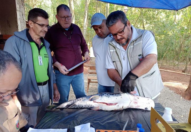 Sesa realiza ações de coleta de toxinas de peixes peçonhentos