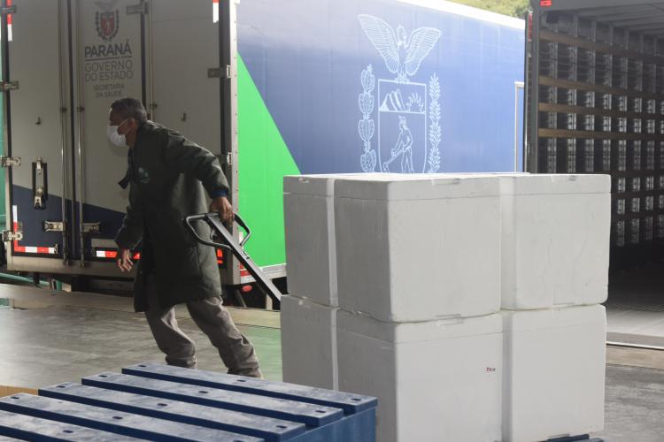 Paraná recebe mais 449 mil doses contra a Covid-19 nesta segunda-feira