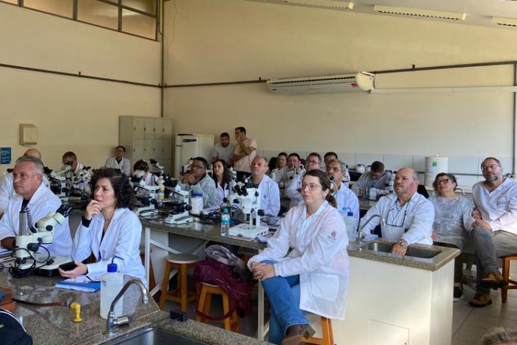 Em parceria com Ministério, Saúde promove capacitação sobre vetor da febre maculosa