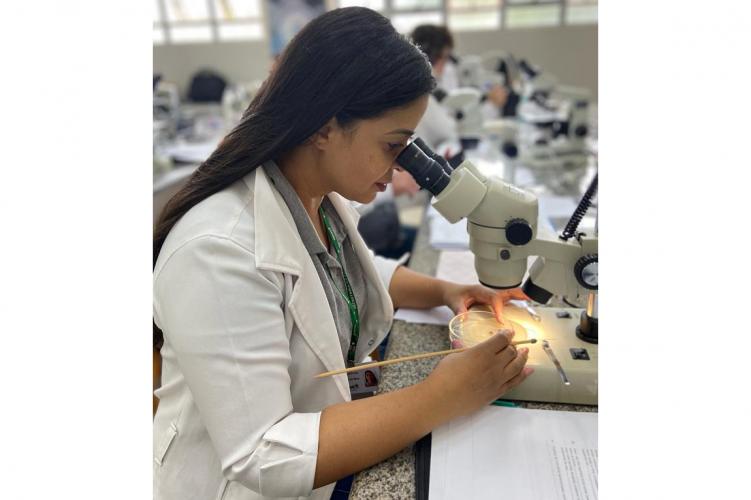 Em parceria com Ministério, Saúde promove capacitação sobre vetor da febre maculosa