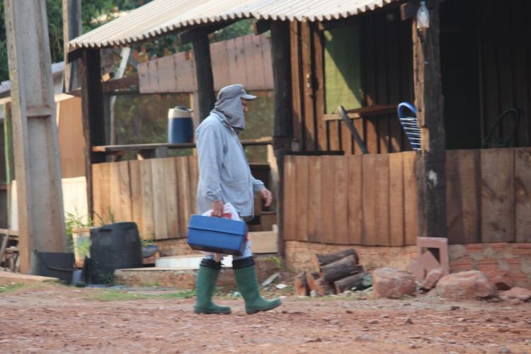 Expedição Pantanal: Lacen-PR participa de projeto inovador de monitoramento genômico