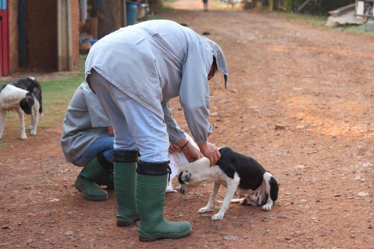 Expedição Pantanal: Lacen-PR participa de projeto inovador de monitoramento genômico