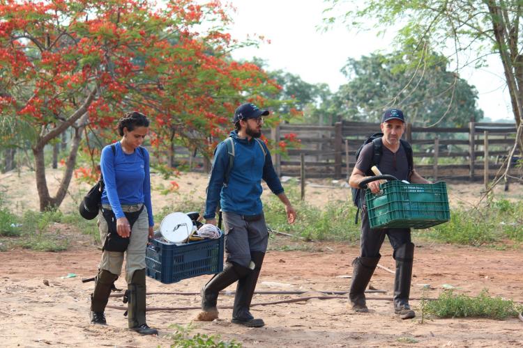 Expedição Pantanal: Lacen-PR participa de projeto inovador de monitoramento genômico