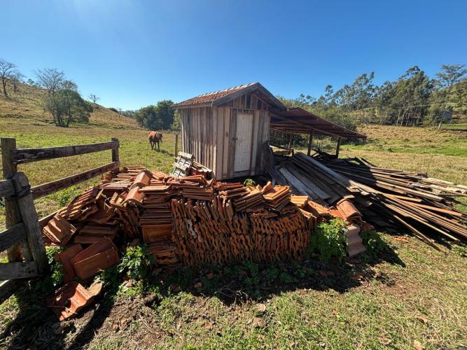 Vigilância e integração entre Estado e municípios fortalecem combate à doença de Chagas
