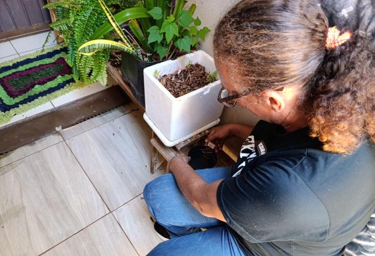 Paraná tem queda de 85% nos casos e de 82% de óbitos por dengue entre janeiro e julho