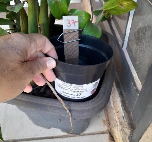 Paraná tem queda de 85% nos casos e de 82% de óbitos por dengue entre janeiro e julho