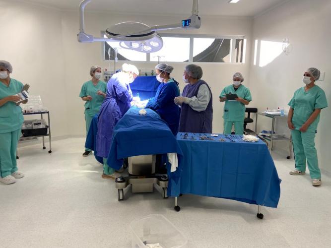 Opera Paraná acelera e soma mais de 370 mil cirurgias no primeiro semestre