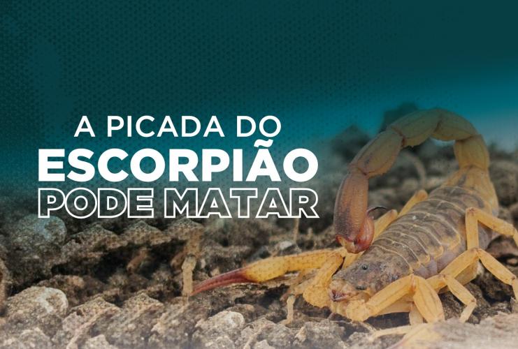 Saúde distribui material que orienta a população sobre acidentes com escorpiões
