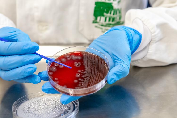 Verão com saúde: cuidados podem evitar a incidência de viroses