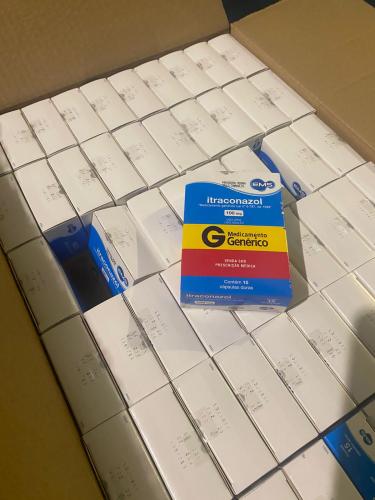 Paraná distribui mais de 310 mil cápsulas do medicamento para tratamento da esporotricose felina