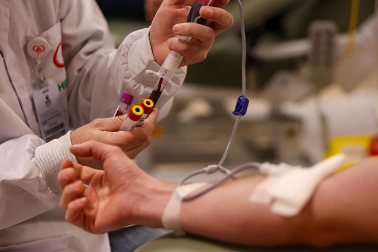 Novas regras reduzem prazos de espera e ampliam possibilidade para doação de sangue