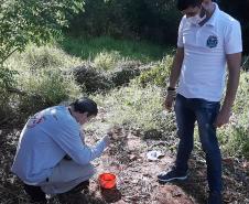 Prevenção contra a dengue deve ser mantida mesmo com a chegada do inverno