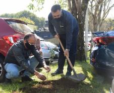 Secretário participa da campanha “Floresce Paraná” em alusão ao Dia do Voluntariado