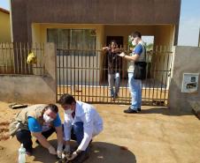Bloqueio vacinal contra raiva é realizado no Noroeste do Paraná
