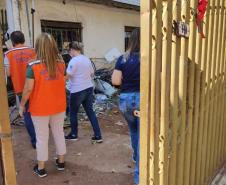Paraná soma 2 óbitos e 741 casos de dengue em dois meses de monitoramento