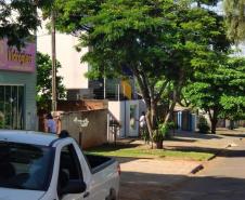 Paraná soma 2 óbitos e 741 casos de dengue em dois meses de monitoramento