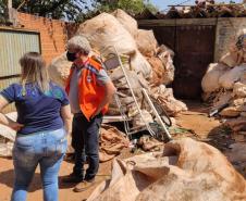 Paraná soma 2 óbitos e 741 casos de dengue em dois meses de monitoramento