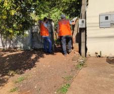 Paraná soma 2 óbitos e 741 casos de dengue em dois meses de monitoramento