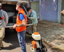 Boletim da dengue confirma 848 casos no Paraná