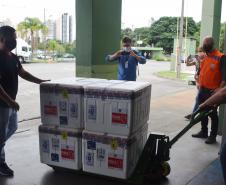 Paraná recebe novo lote de vacina e amplia imunização de profissionais da saúde