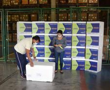 Paraná recebe novo lote de vacina e amplia imunização de profissionais da saúde