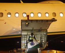 As vacinas Oxford/AstraZeneca, desenvolvidas em parceria com a Fundação Oswaldo Cruz (Fiocruz), devem chegaram no Aeroporto Internacional Afonso Pena, em São José dos Pinhais, na Região Metropolitana de Curitiba.