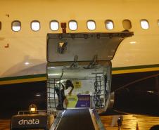 As vacinas Oxford/AstraZeneca, desenvolvidas em parceria com a Fundação Oswaldo Cruz (Fiocruz), devem chegaram no Aeroporto Internacional Afonso Pena, em São José dos Pinhais, na Região Metropolitana de Curitiba.