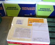 Com a chegada do quarto lote, Paraná começa a vacinar idosos