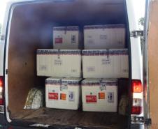 Paraná recebeu neste sábado mais 240,4 mil doses da vacina contra a Covid-19