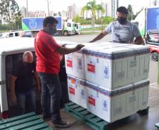 Paraná recebeu neste sábado mais 240,4 mil doses da vacina contra a Covid-19