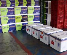 Paraná recebeu neste sábado mais 240,4 mil doses da vacina contra a Covid-19