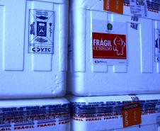 Paraná recebeu neste sábado mais 240,4 mil doses da vacina contra a Covid-19