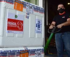 Paraná recebeu neste sábado mais 240,4 mil doses da vacina contra a Covid-19