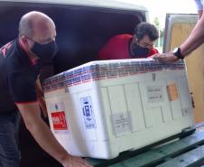 Paraná recebeu neste sábado mais 240,4 mil doses da vacina contra a Covid-19