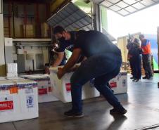 Paraná recebeu neste sábado mais 240,4 mil doses da vacina contra a Covid-19