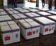 Paraná recebeu neste sábado mais 240,4 mil doses da vacina contra a Covid-19