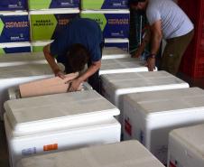 Paraná recebeu neste sábado mais 240,4 mil doses da vacina contra a Covid-19