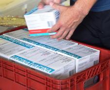 Paraná recebeu neste sábado mais 240,4 mil doses da vacina contra a Covid-19