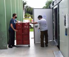 Paraná recebeu neste sábado mais 240,4 mil doses da vacina contra a Covid-19