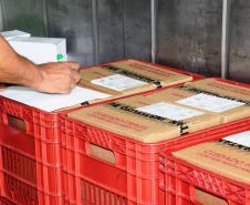 Paraná recebeu neste sábado mais 240,4 mil doses da vacina contra a Covid-19