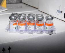 Paraná recebeu neste sábado mais 240,4 mil doses da vacina contra a Covid-19