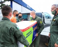 Paraná distribui 369,6 mil novas doses e começa a vacinar idosos acima de 70 anos