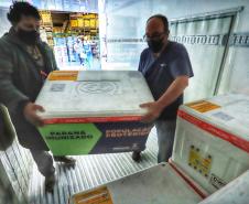 Paraná distribui 369,6 mil novas doses e começa a vacinar idosos acima de 70 anos