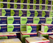 Paraná distribui 369,6 mil novas doses e começa a vacinar idosos acima de 70 anos
