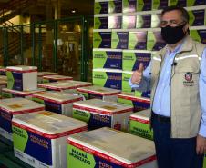 Paraná distribui 369,6 mil novas doses e começa a vacinar idosos acima de 70 anos