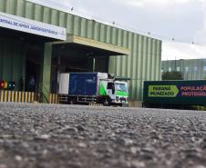 Paraná distribui novo lote e começa a vacinar idosos com mais de 75 anos